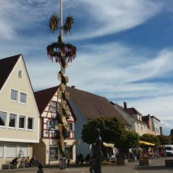 13 Aufgestellter Maibaum